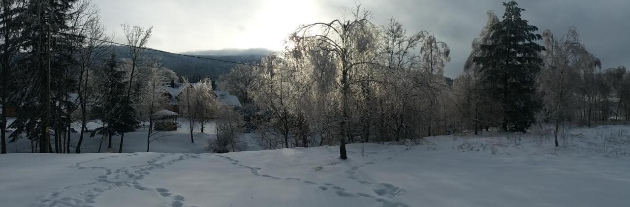 Villa Chwila Moment - Dom W Okolicy Czarnej Gory, Nad Rzeka Stronie Śląskie Exterior foto